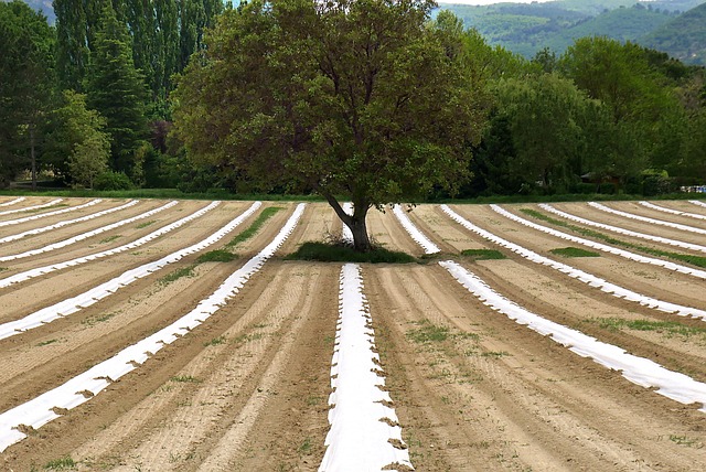Wandel der Agrarökologie für Klimaschutz