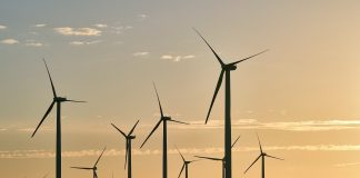 Clean Energy: Der grüne Umbau der Energiewirtschaft