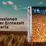 Farm GrowExpress Ltd. - Impressionen aus der Erntezeit in Nigeria, von Dr. Thomas Schulte, Berlin
